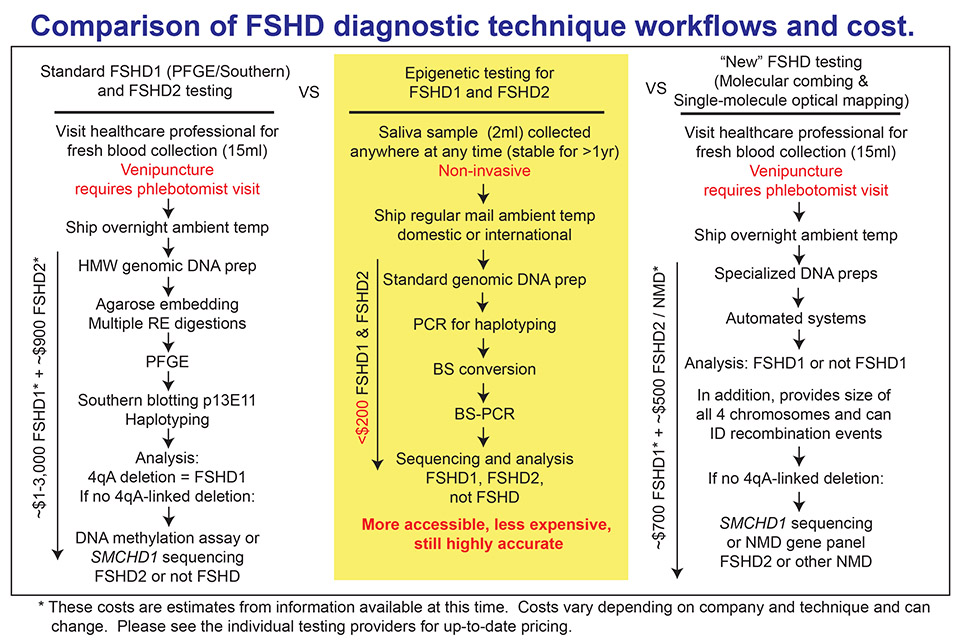 FSHD diagnostics overview diagram