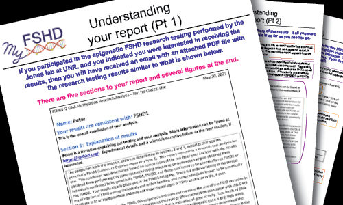 Understanding your report graphic